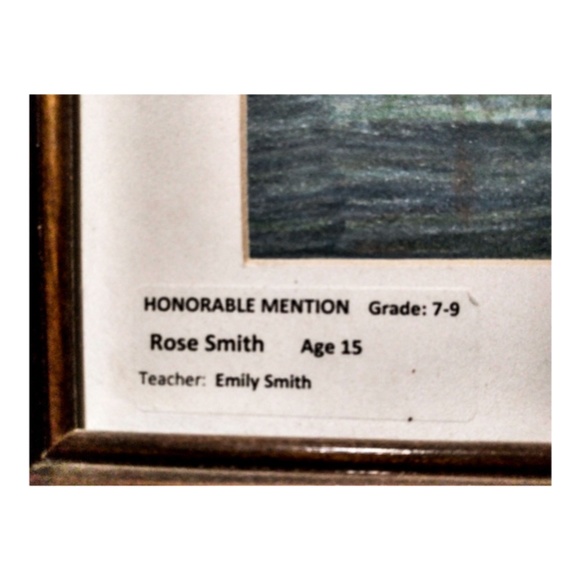 Hand-drawn pencil portrait of a duck - Picture 3 of 5